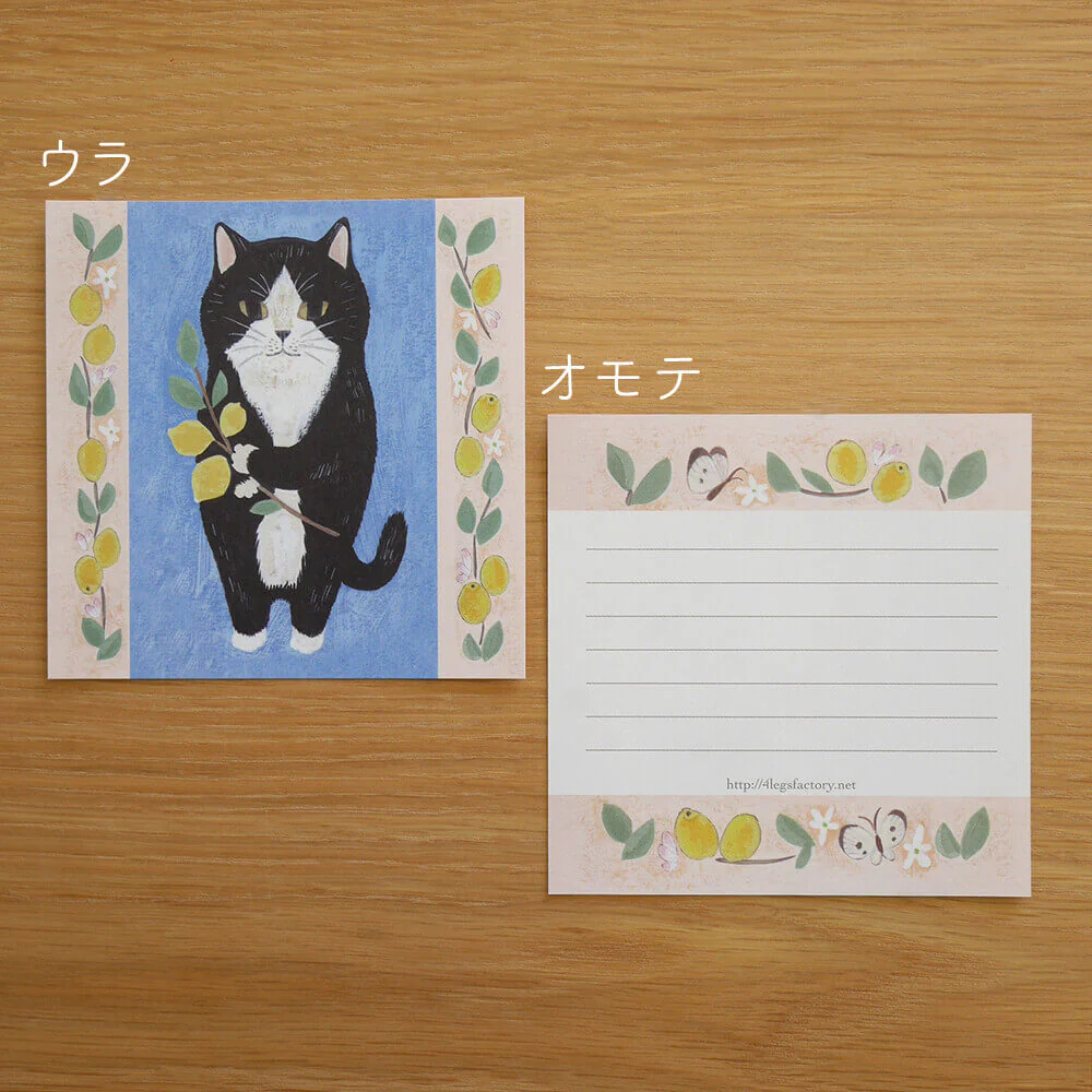 4Legs | Set de Papeles Memo Deluxe Cats 2 - Image 7