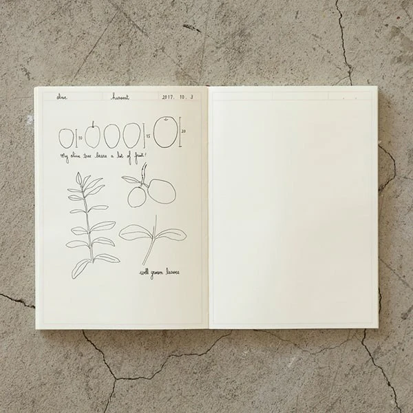 Midori | Cuaderno MD Midori Journal A5 Frame - Image 10