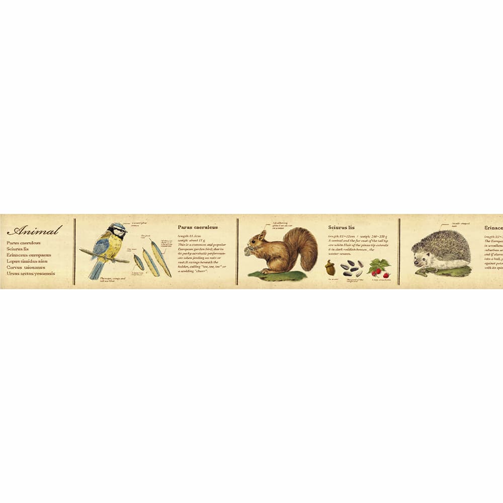 MT Masking Tape | Encyclopedia Animal Washi Tape - Image 3