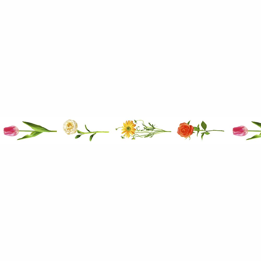 MT Masking Tape | Hana R Washi Tape - Image 3