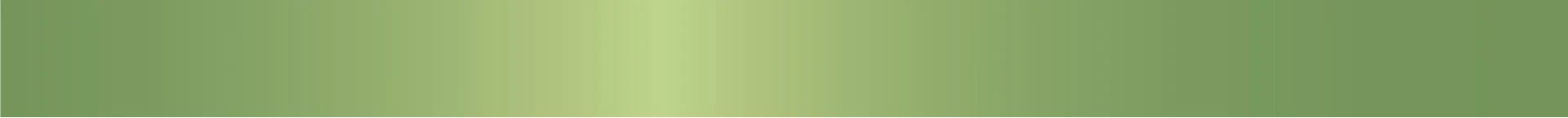 MT Masking Tape | High Brightness Yellow Green Washi Tape - Image 3