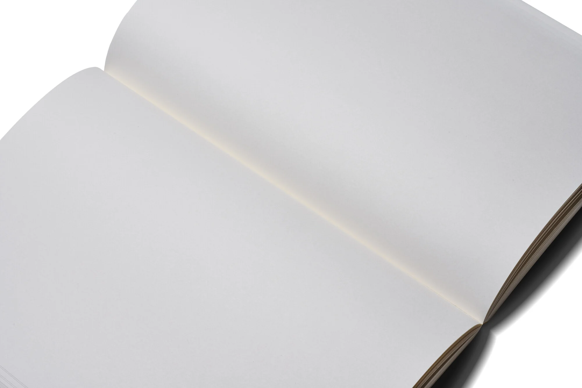 Zequenz | Cuaderno The Color A7 Olive (Liso) - Image 9